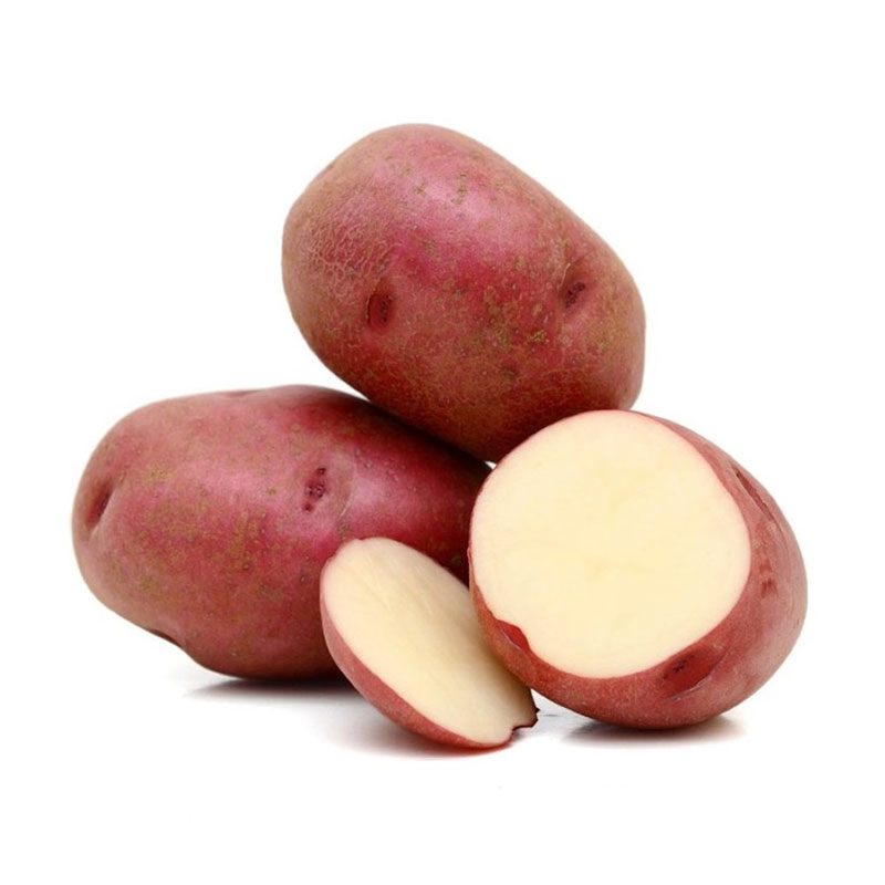 patata-rudolph